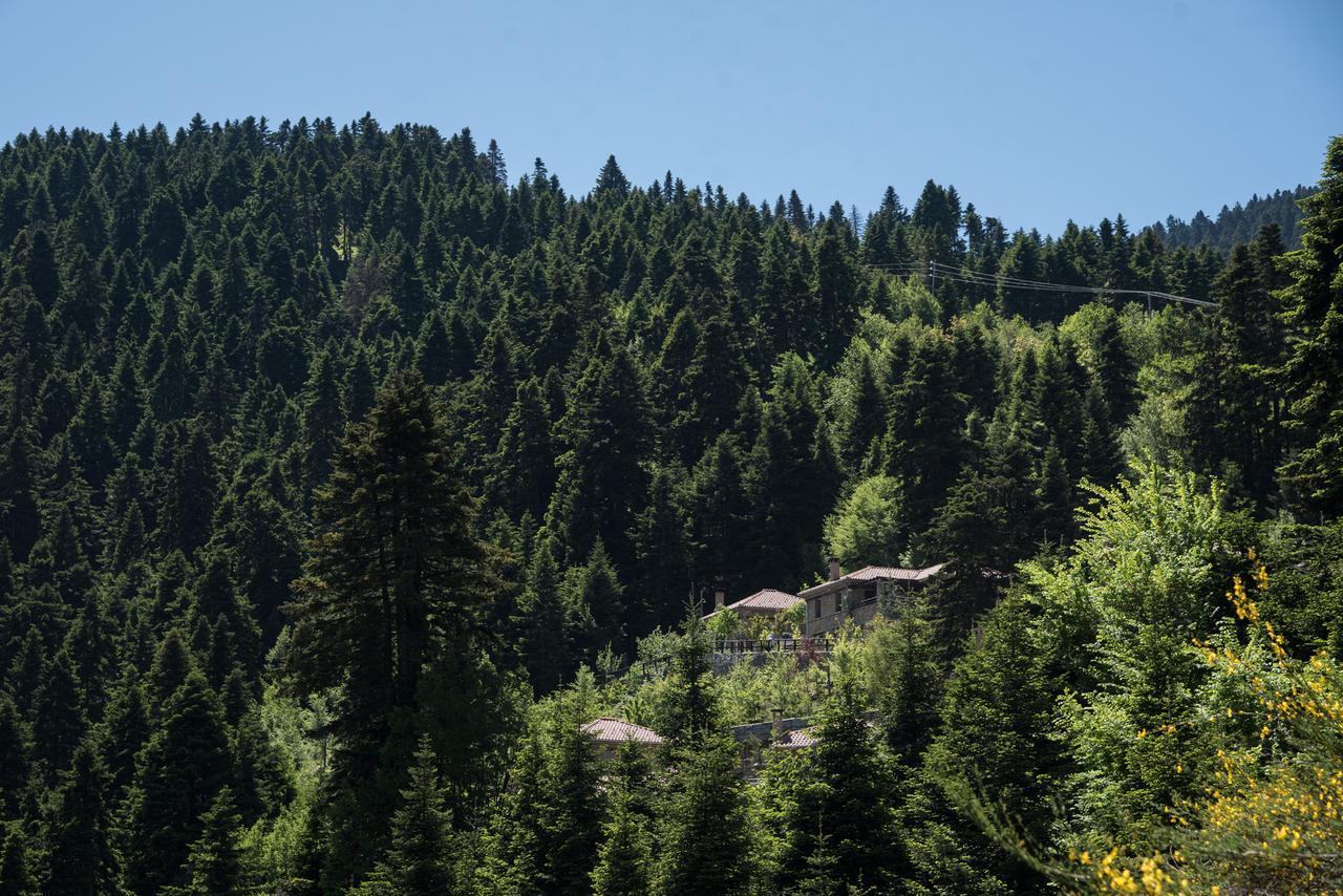 Montanema Handmade Village Platanakos Exteriér fotografie